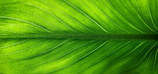 Come Scegliere il Miglior Elettrodomestico Sostenibile per la Tua Casa