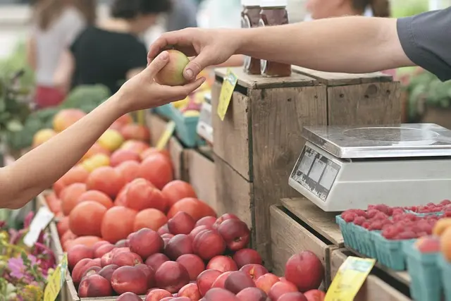 Guida Completa all'Acquisto di Elettrodomestici Sostenibili