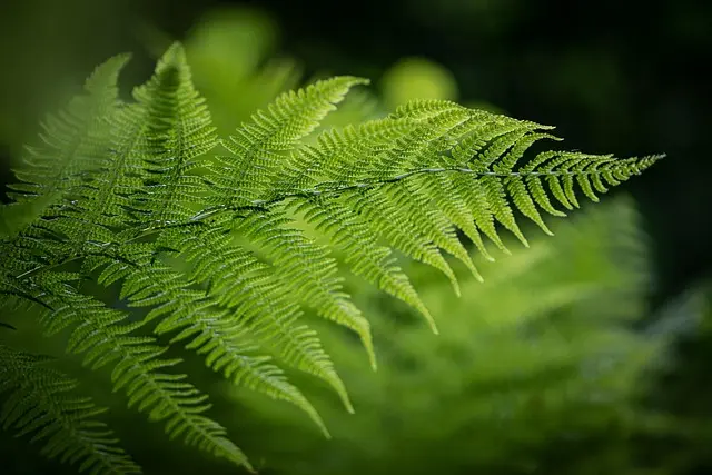 Electroshopping: Come Scegliere il Giusto Elettrodomestico Eco-Friendly