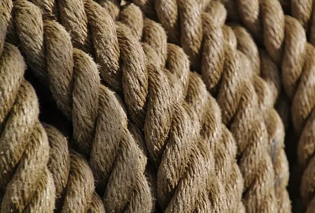 Guida all'Acquisto di Cuffie Wireless: Cosa Considerare