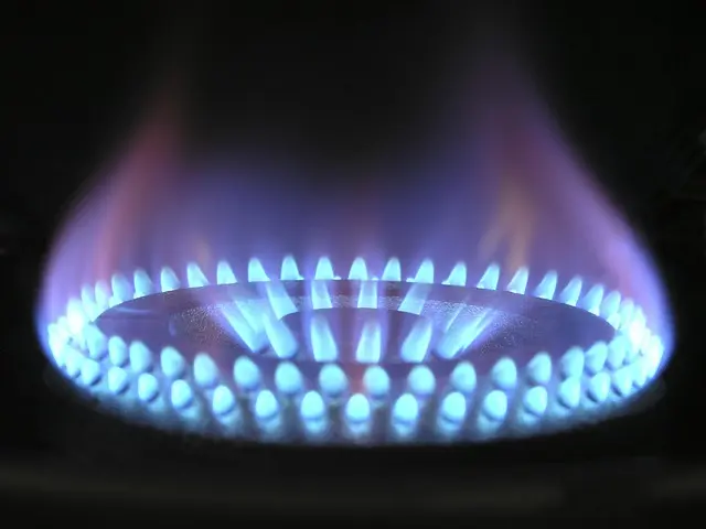 Come Scegliere il Giusto Elettrodomestico Eco-Friendly
