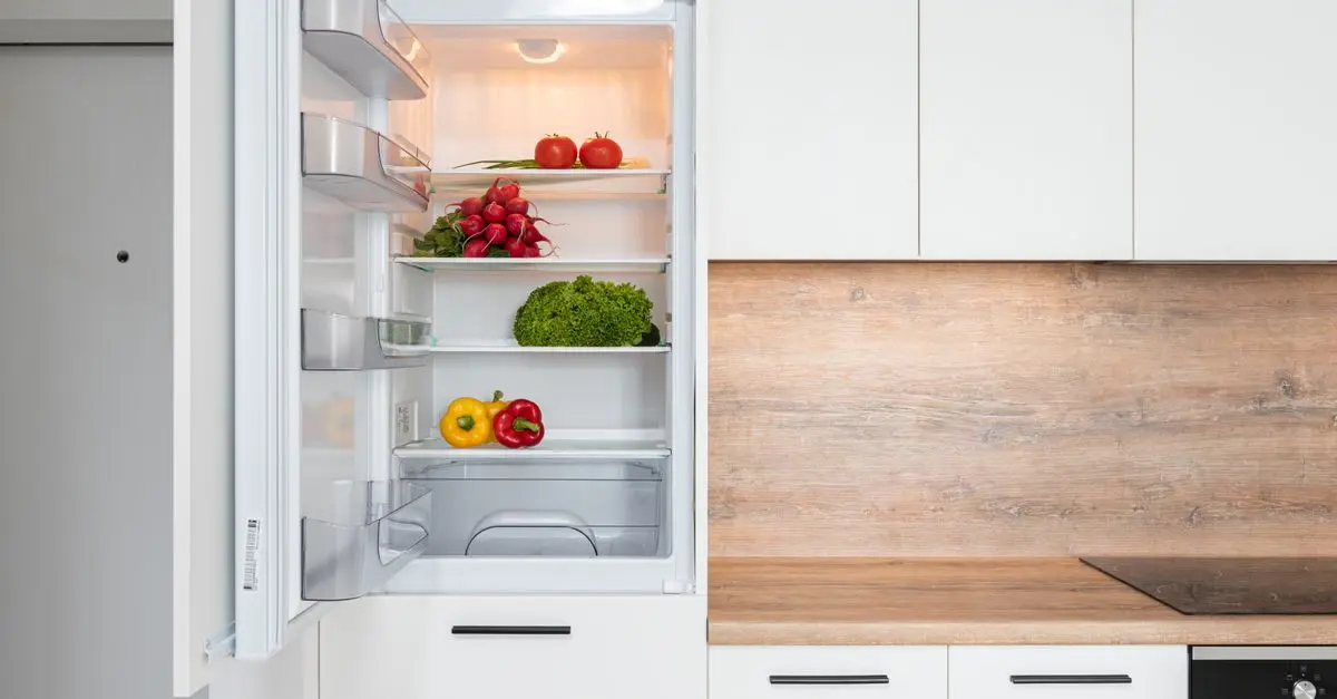 Come Scegliere il Miglior Frigorifero Sostenibile per la Tua Cucina