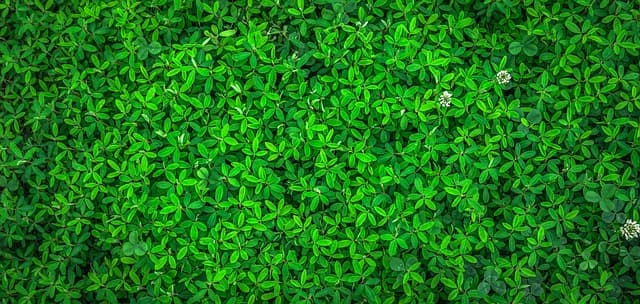 Come Scegliere il Miglior Elettrodomestico Sostenibile
