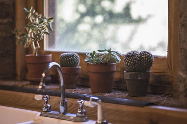 10 Consigli per Scegliere il Giusto Elettrodomestico per la Tua Cucina